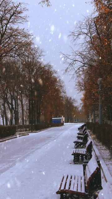 Winter health risk
