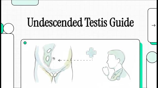Don't Rush the Drop: A Parent's Guide to Undescended Testicles